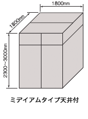ミデイアムタイプ天井付